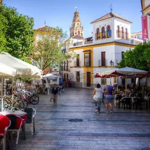 La Casa De La Musica Cordoue
